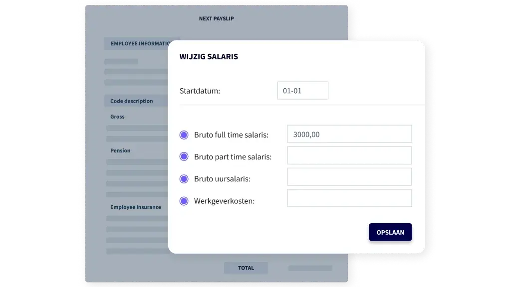 online loonstrook interactief